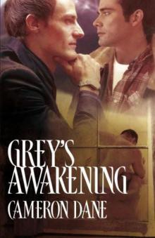 Grey's Awakening Read online