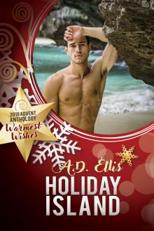 Holiday Island Read online