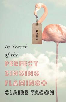 In Search of the Perfect Singing Flamingo Read online