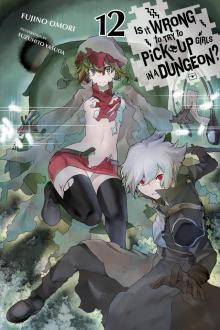 Is It Wrong to Try to Pick Up Girls in a Dungeon?, Vol. 12 Read online