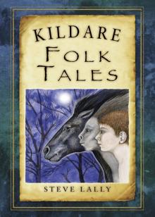 Kildare Folk Tales Read online
