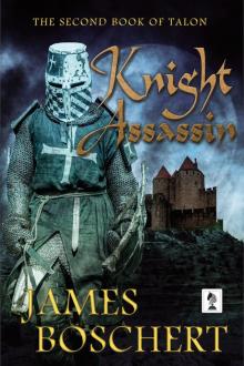 Knight Assassin Read online