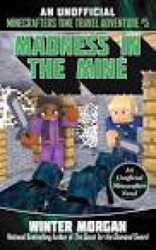 Madness in the Mine Read online
