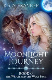 Moonlight Journey: A Reverse Harem Shifter Romance (The Witch and the Wolf Pack Book 6) Read online