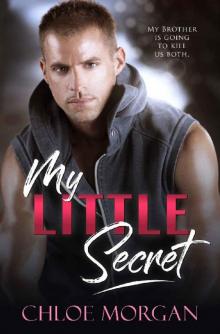 My Little Secret: A Brother's BFF Secret Baby Novel Read online