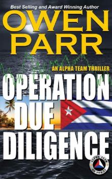 Operation Due Diligence Read online