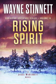 Rising Spirit Read online