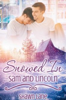 Sam and Lincoln Read online