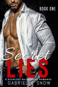 Secret Lies: A Stealthy Billionaire Romance (Secret Series Book 1) Read online