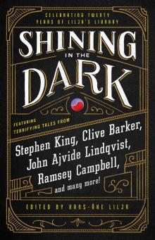 Shining in the Dark Read online