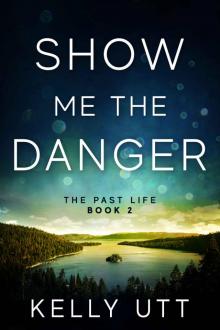 Show Me the Danger: The Past Life - Book 2 Read online