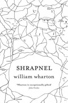 Shrapnel Read online
