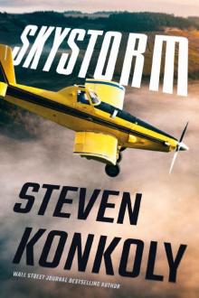 Skystorm (Ryan Decker) Read online
