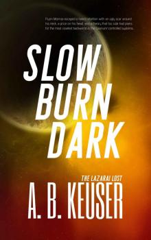 Slow Burn Dark Read online