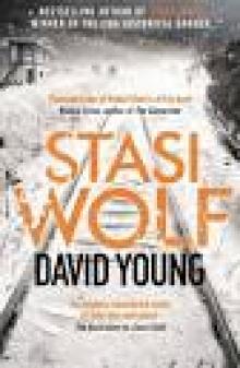 Stasi Wolf Read online