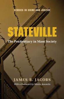 Stateville- the Penitentiary in Mass Society