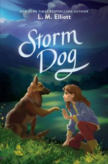 Storm Dog Read online