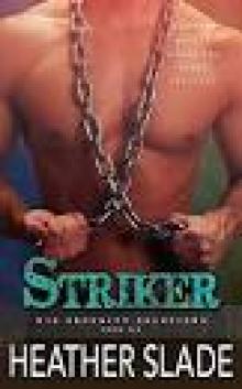 Striker (K19 Security Solutions Book 6)