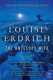 The Antelope Wife Read online