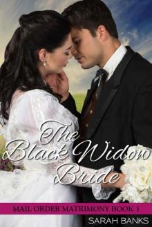 The Black Widow Bride (Mail Order Matrimony Book 3) Read online