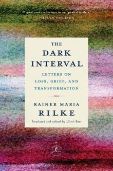 The Dark Interval Read online