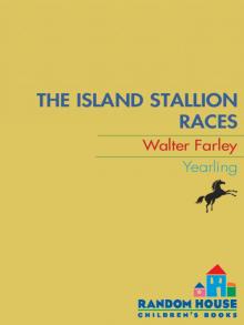 The Island Stallion Races Read online