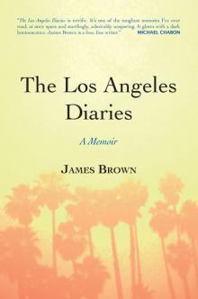 The Los Angeles Diaries Read online