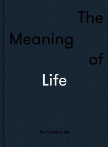 The Meaning of Life Read online