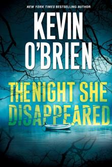The Night She Disappeared Read online