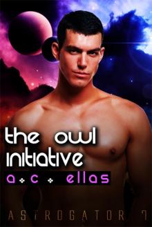 The Owl Initiative Read online