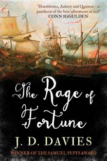 The Rage of Fortune Read online