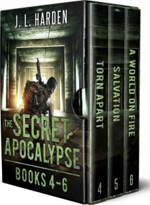 The Secret Apocalypse: Box Set 2 Read online