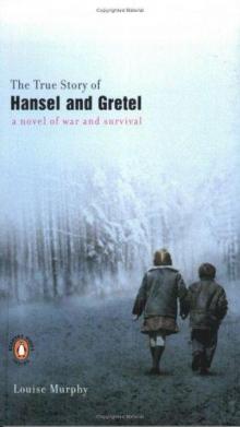 The True Story of Hansel and Gretel Read online