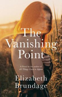 The Vanishing Point Read online