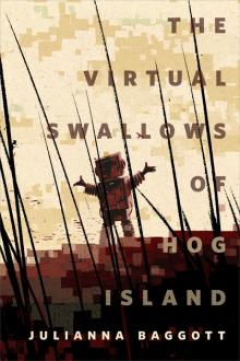 The Virtual Swallows of Hog Island Read online