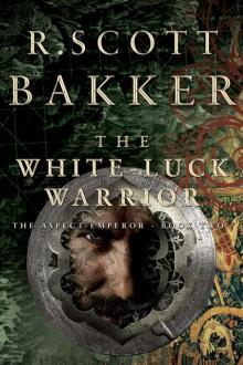 The White Luck Warrior Read online