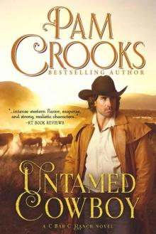 Untamed Cowboy (C Bar C Ranch Book 1) Read online