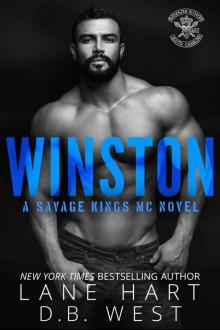 Winston: Savage Kings MC - South Carolina