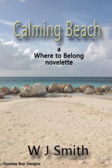 Calming Beach Read online