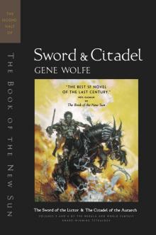 Sword and Citadel Read online