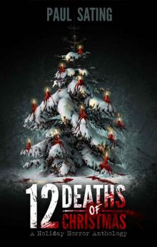 12 Deaths of Christmas Read online