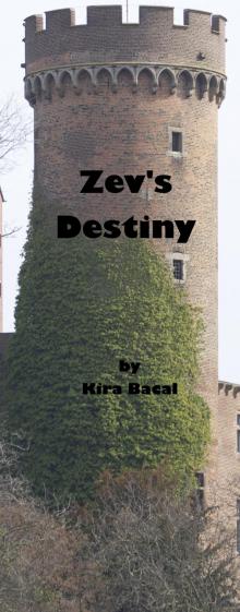 Zev's Destiny Read online