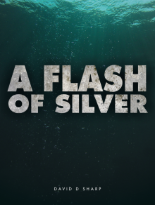 A Flash of Silver Read online