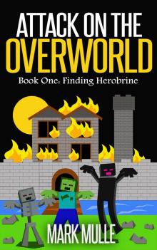 Attack on the Overworld, Book One: Finding Herobrine Read online