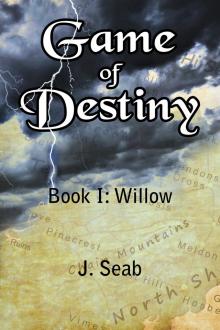 Game of Destiny, Book I: Willow Read online
