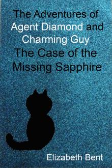 The Case of the Missing Sapphire Read online