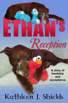 Ethan's Reception, a Story of Hardship and Acceptance Read online