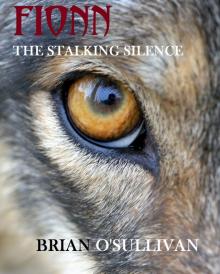 Fionn: The Stalking Silence Read online