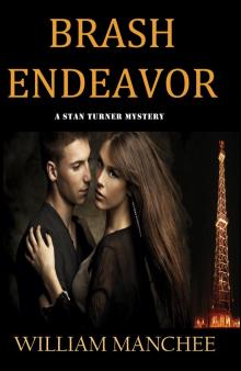 Brash Endeavor, A Stan Turner Mystery Vol 3 Read online