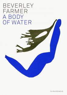 A Body of Water Read online
